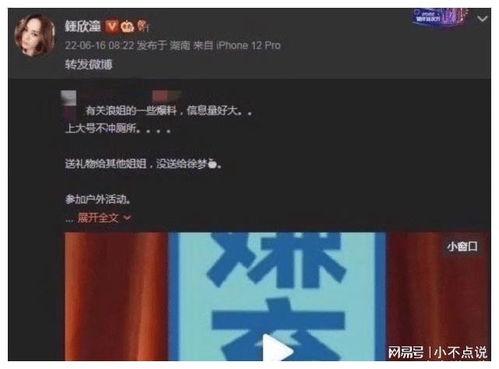 转发吃瓜视频判刑,判刑案例警示网络行为