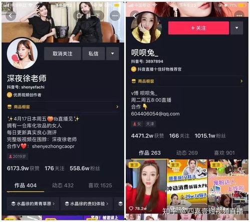 潮汕网红助手抖音直播,揭秘潮汕文化魅力，带你领略直播新风尚