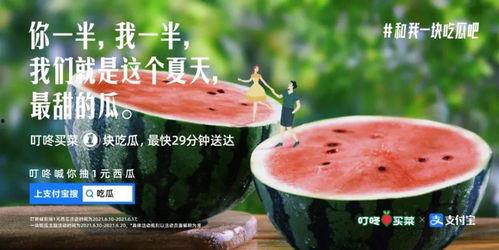 菏泽吃瓜群文案,揭秘当地美食文化，畅享民间风味盛宴