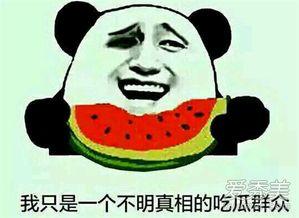 吃瓜吹水的意思,畅享生活点滴