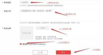 头条号教程,开启自媒体创作之旅