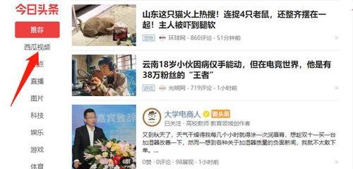 如何提取头条视频歌曲,掌握音乐获取新技能