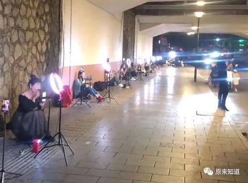 网红直播桥洞在哪,探寻城市新地标