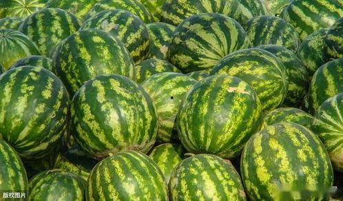 地理老师种瓜得瓜,从“种瓜得瓜”到地理智慧