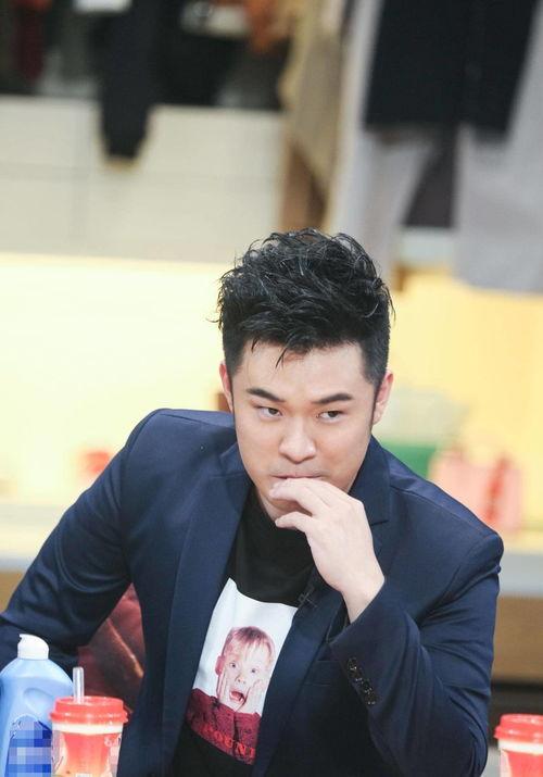 什么贤的男明星,探寻那些温文尔雅的男明星风采