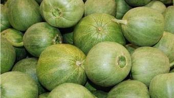 甜瓜概念爆料视频大全集,揭秘甜蜜背后的故事