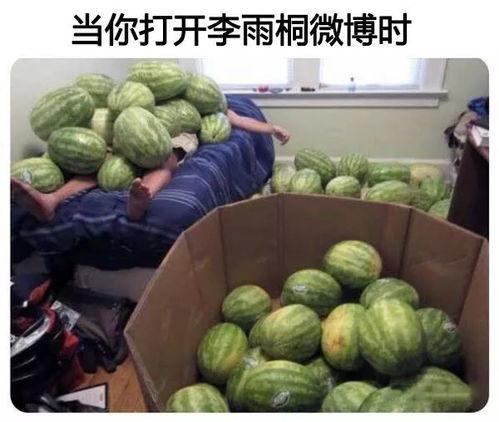 超级吃瓜网,娱乐圈最新热点事件大追踪