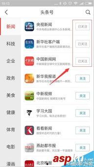 头条怎么转发加关注呢,头条如何一键转发并关注，解锁互动新姿势！