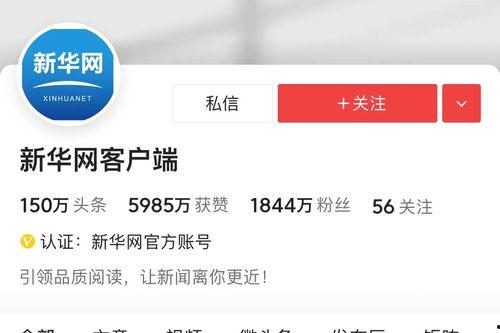 头条粉丝排行,揭秘热门账号背后的秘密