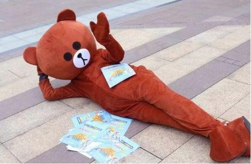 网红手帕熊,网红萌宠的治愈魅力