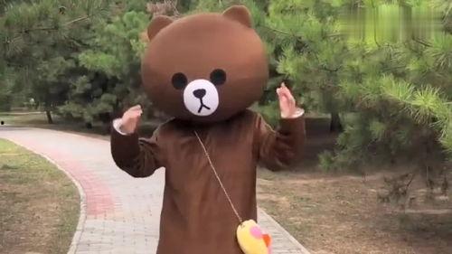 网红熊每天的日常安排,萌趣生活大揭秘
