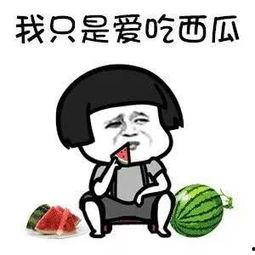 吃瓜娱乐酱头像图片