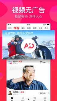 吃瓜娱乐配音视频大全下载