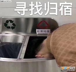 吃瓜群众表情包gif动图下载