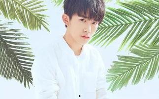 娱乐吃瓜妹易烊千玺小说,娱乐圈的甜蜜瓜田