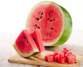 娱乐吃瓜酱青口冻干